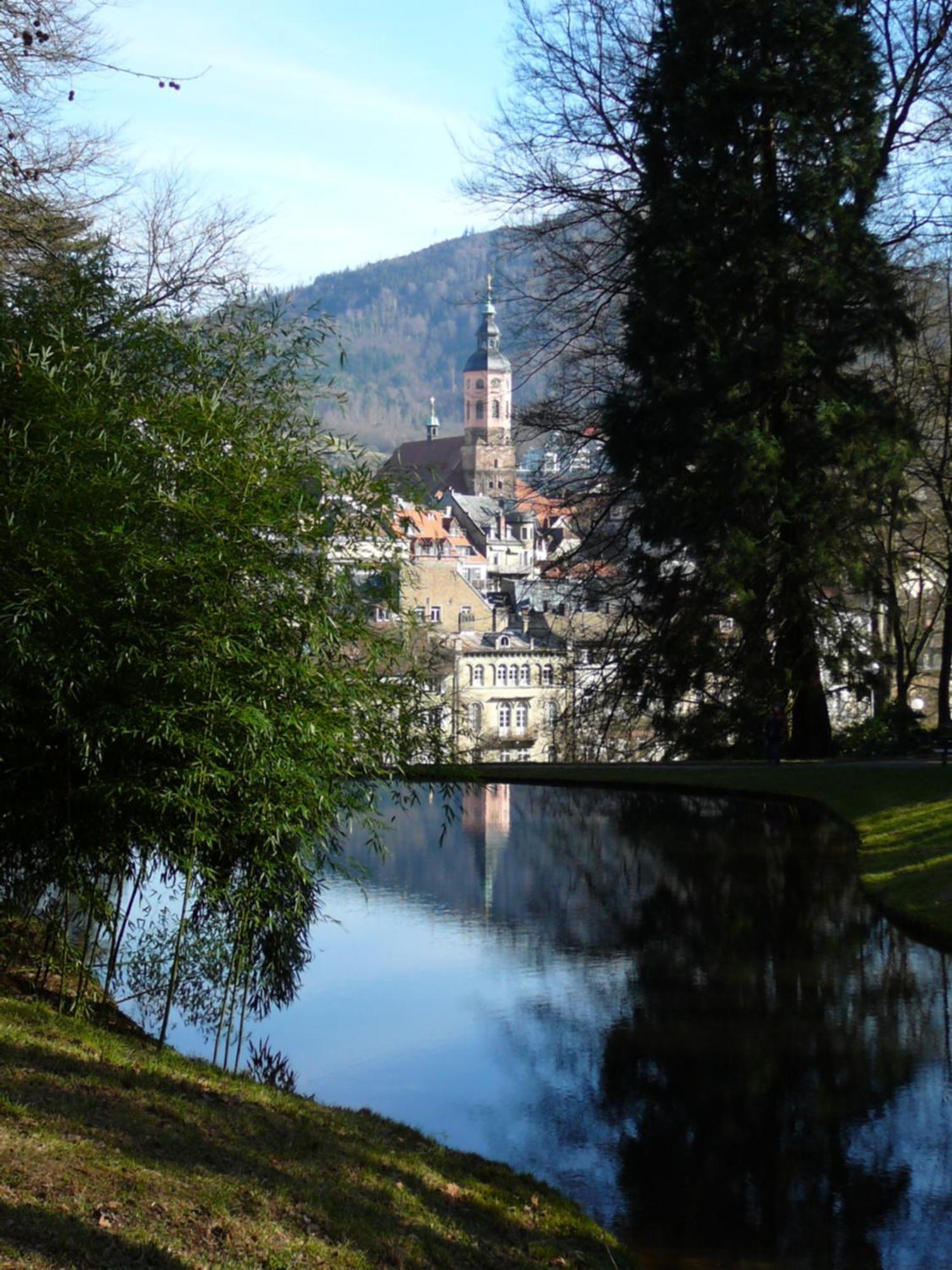 Am Krippenhof Apartment Baden-Baden